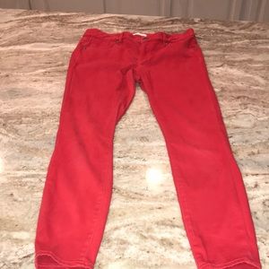 Ann Taylor Loft velvet jeans
